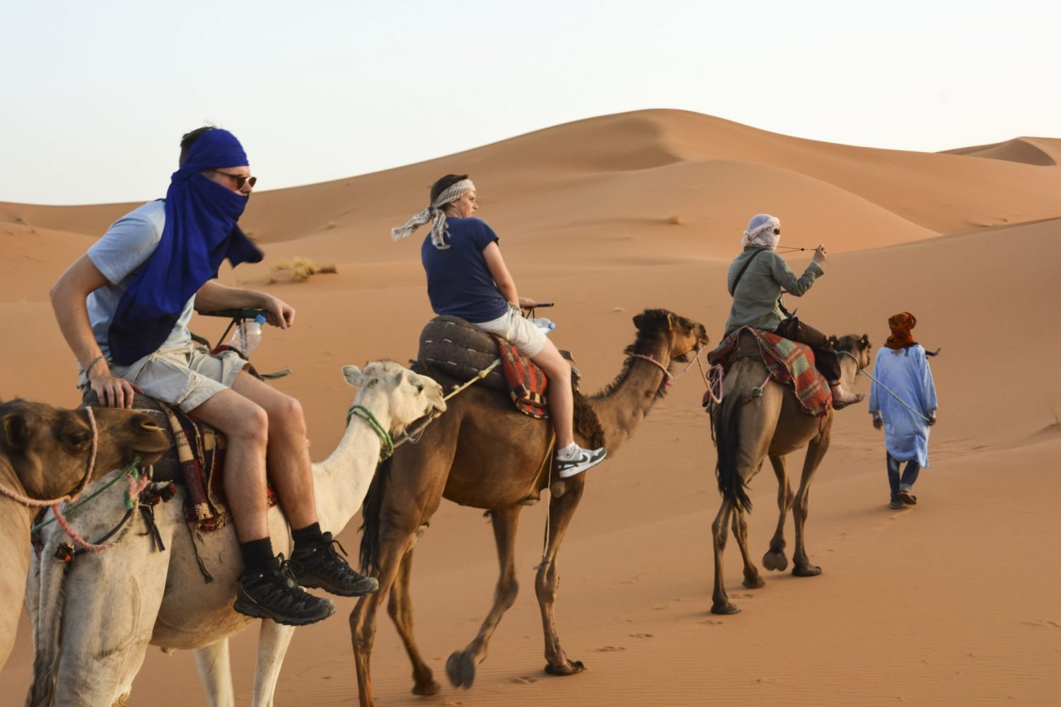 Tourists riding camels through the Sahara Desert dunes during a scenic day trip from Marrakech.