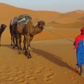Top Sahara desert tours from Marrakech