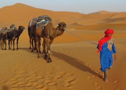 Top Sahara desert tours from Marrakech