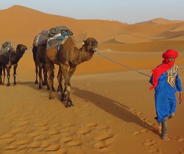 Top Sahara desert tours from Marrakech 