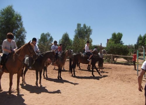 Horse riding day trip