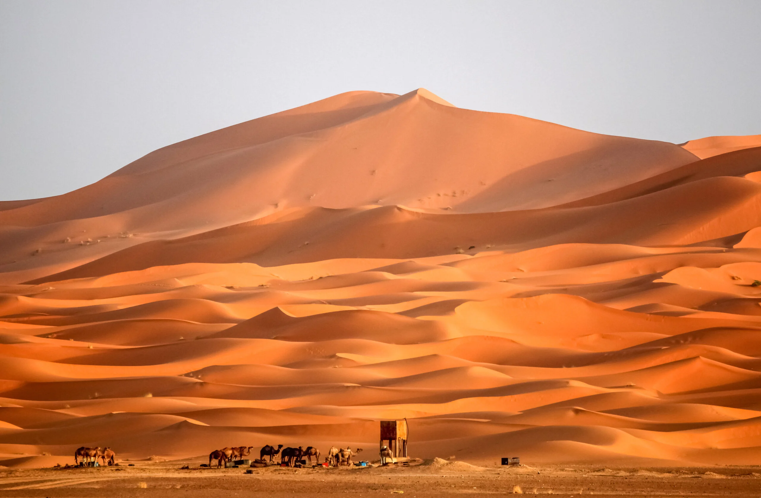 Berber homes at the foot of stunning sand dunes of Merzouga