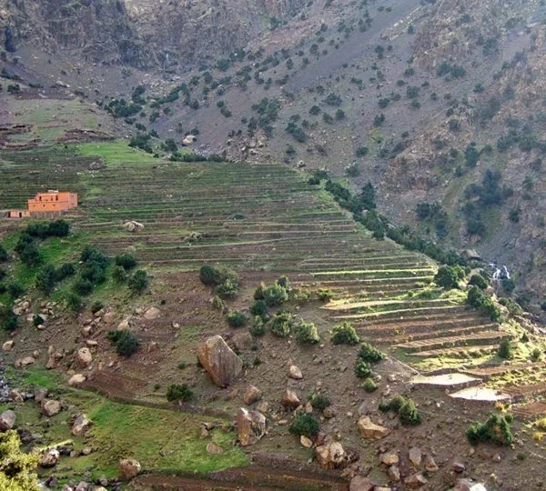 Traditional agricultural stone terraces and rural Berber architecture in the Atlas Mountains of Morocco.